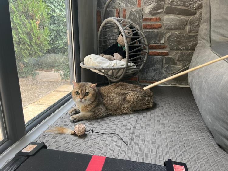 CİDDİ TAKINTILARI VAR’