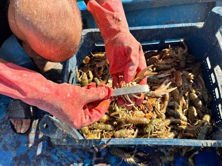 1 HAFTA BEKLEME SÜRESİ