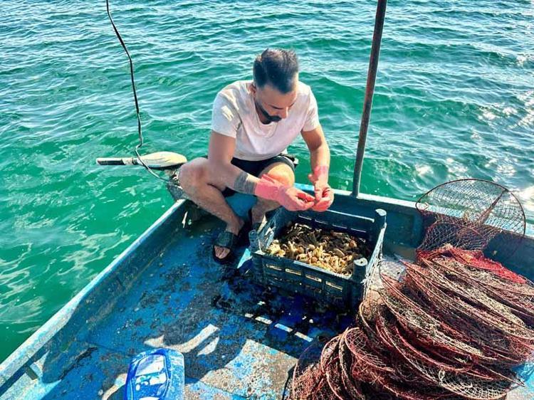 BÜYÜK ŞEHİRLERDE EZİYET ÇEKİP YOK OLMAYIN