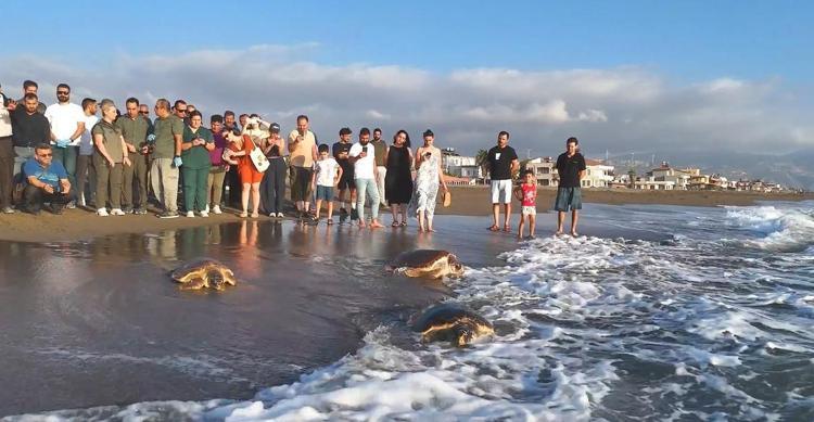 KAFATASI KIRIKLARI TESPİT EDİLDİ