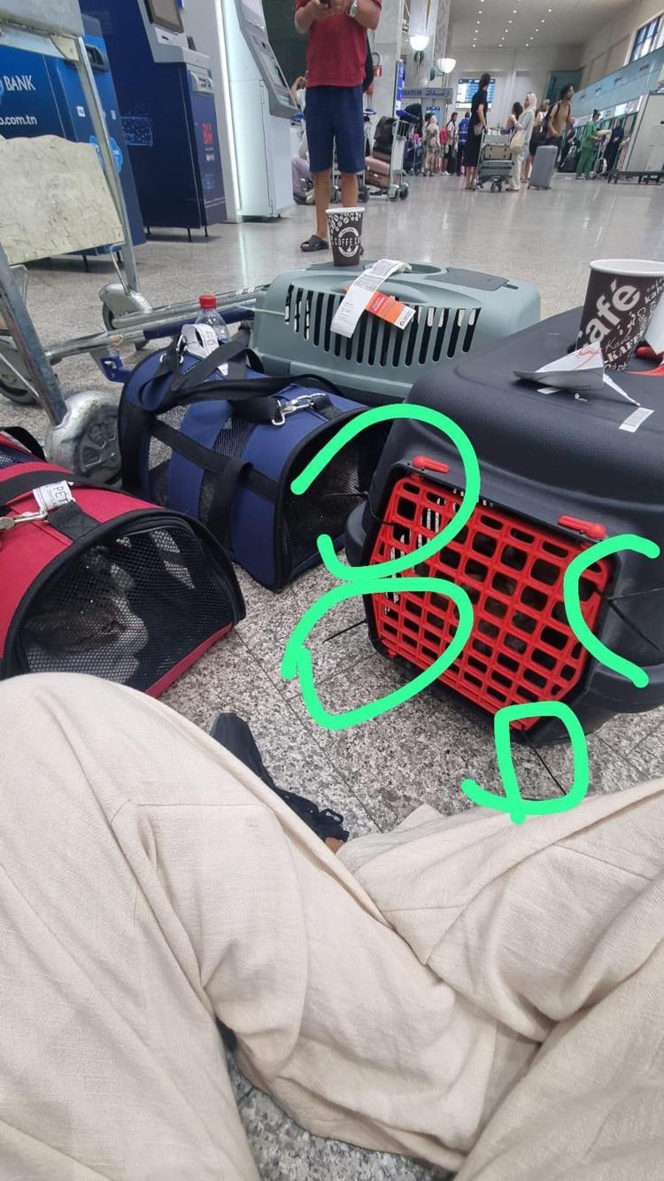 ‘HAKKINI ARAMAK İSTİYORUM’