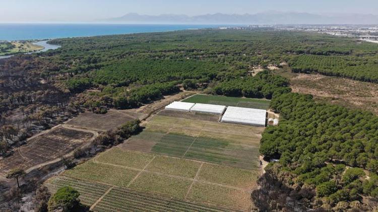 ‘BU SÖYLEME ALIŞTIK’