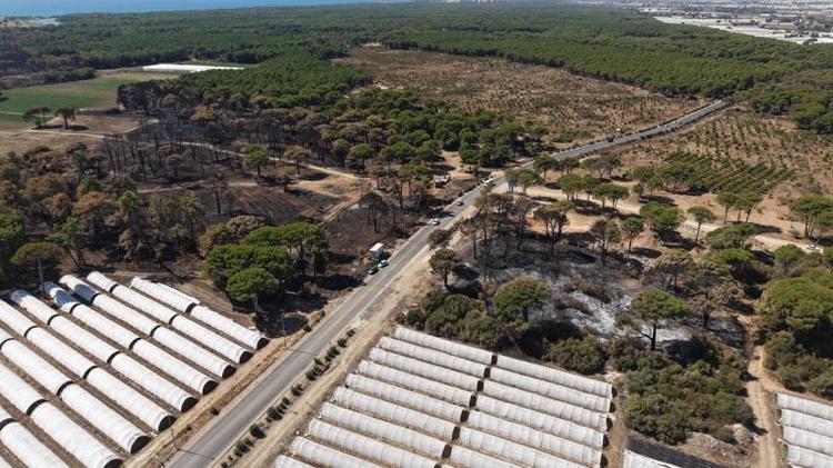 1953 YILINDA DAVA AÇILMIŞ