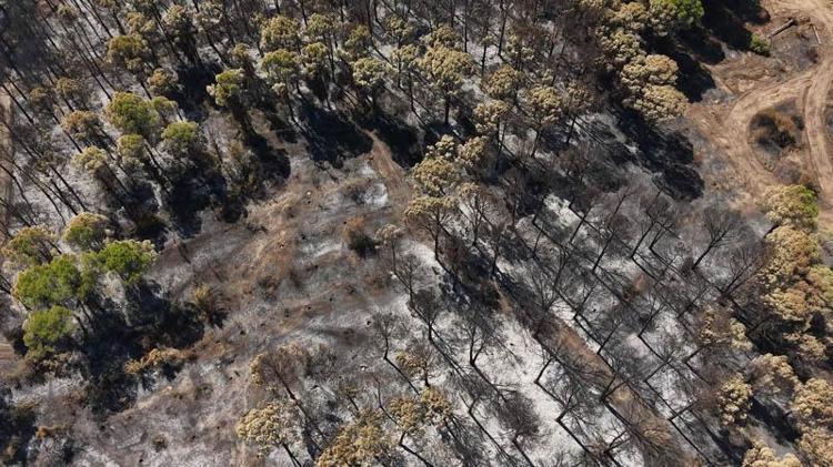 1989DAKİ RAPOR KÖYLÜNÜN LEHİNE