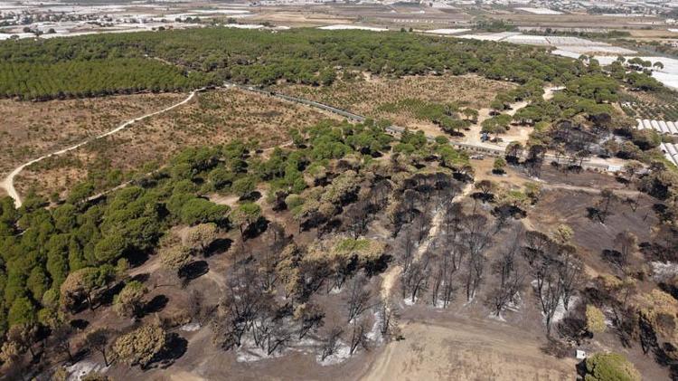 HAK SAHİBİ SAYISI 1000’İ GEÇTİ