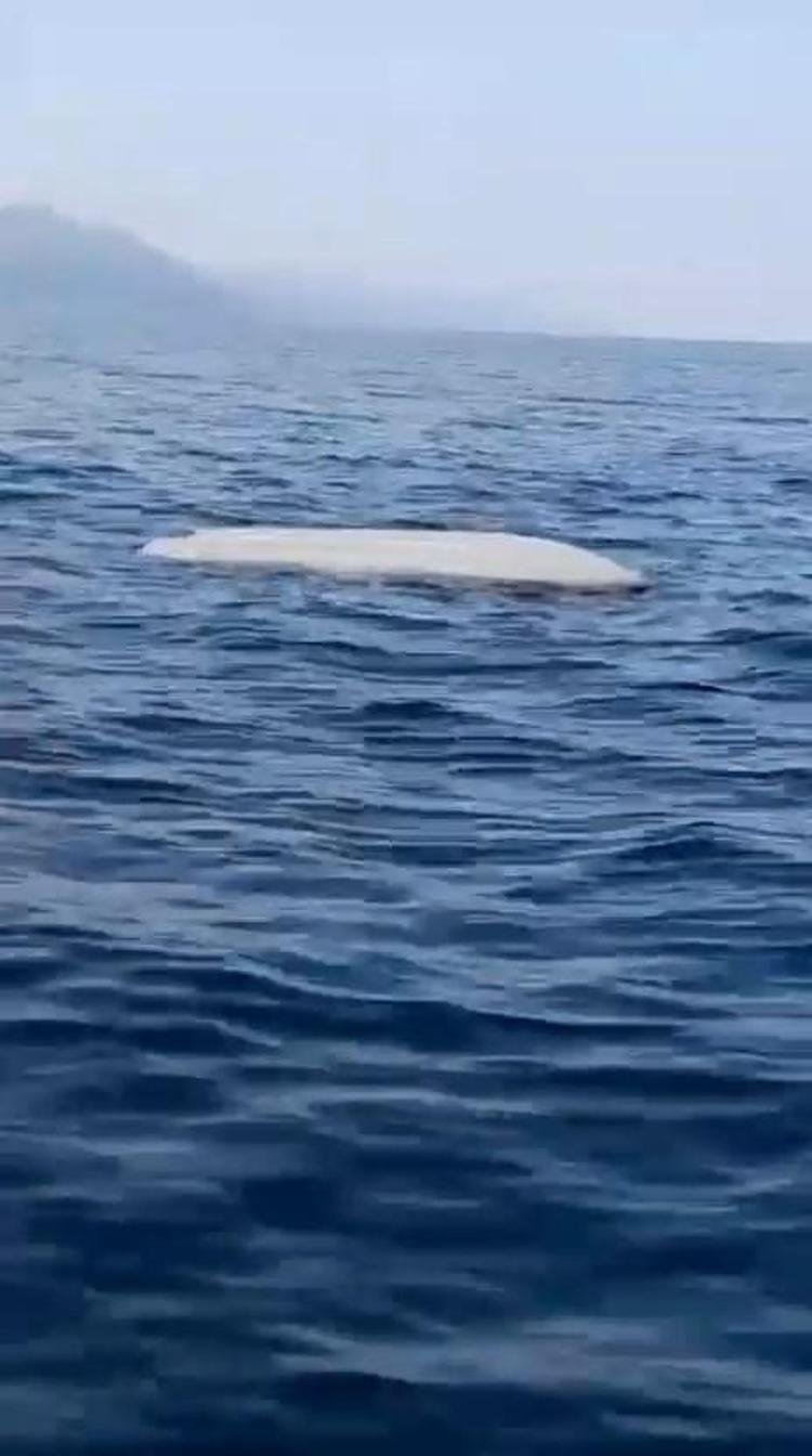 VALİ ERGÜN UYARILARDA BULUNDU