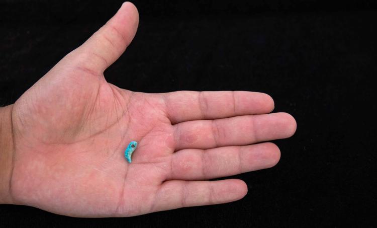 TÜRKLERE HAS BİR BULGU