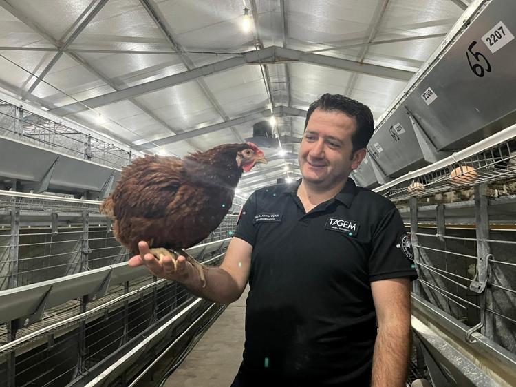 KREM RENKLİ YUMURTACI HİBRİT İÇİN ÇALIŞMA BAŞLATTIK