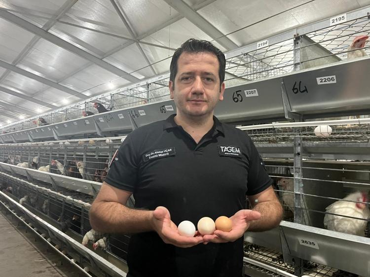 YIL SONUNDA TEST ÇALIŞMALARI BİTECEK