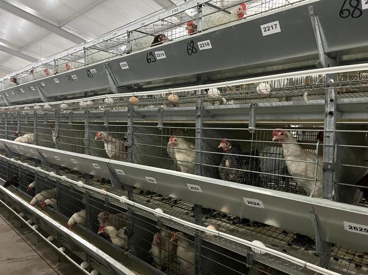 İHTİYAÇ DUYULAN TÜM DAMIZLI MATERYALİ SAĞLIYORUZ