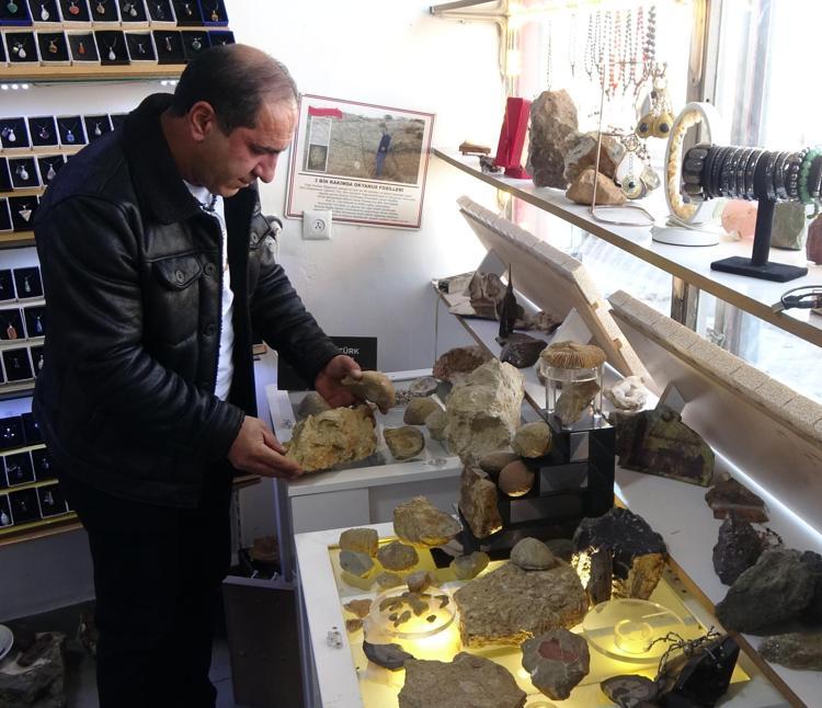 ‘ÇOK İLGİNÇ DENİZ CANLILARI VAR’