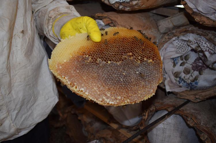 Hava koşulları nedeniyle bu yıl verimin az olduğunu belirten Şahin, şunları söyledi: