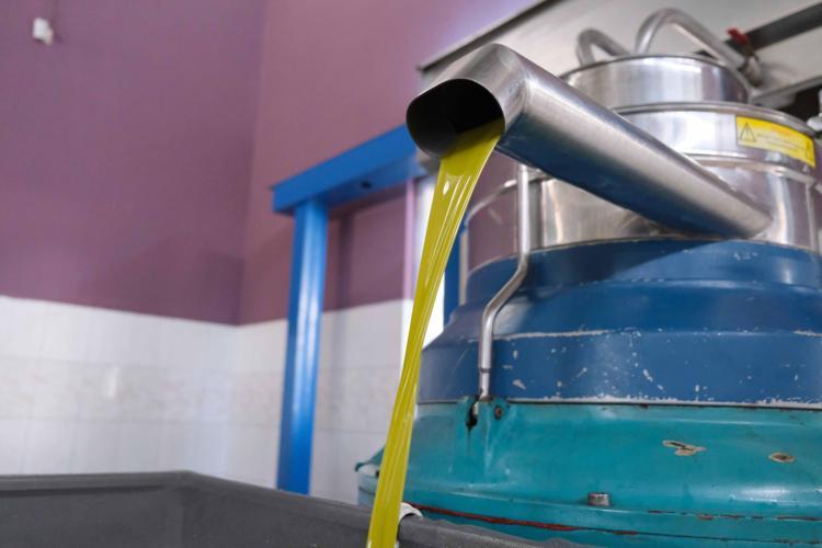 FİYATLAR SABİT AMA ARTIŞ BEKLENİYOR