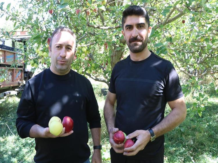 ELMALAR TIRLARA YÜKLENİP DEĞİŞİK İLLERE GÖNDERİLİYOR