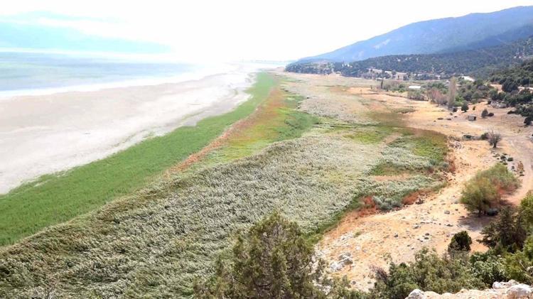 BU DENLİSİNİ İLK DEFA GÖRDÜM