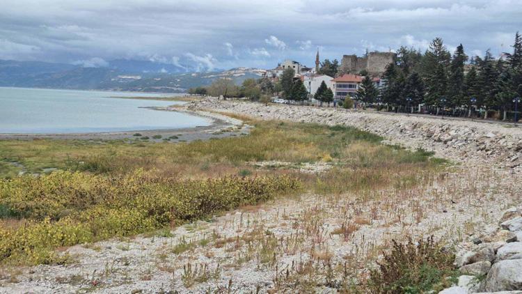 MİSAFİRLERİMİ KEŞKE GETİRMESEYDİM