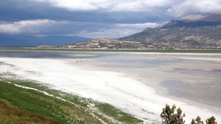 KAYIĞIN BULUNDUĞU YER ŞİMDİ BAHÇE OLDU