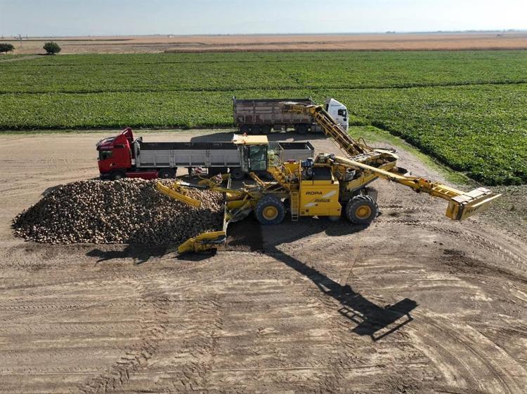 ‘BABALARIMIZ ESKİDEN ELLE SÖKERLERDİ’