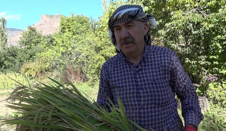 ÇORUH NEHRİNİN SUYUYLA BESLENİYORLAR