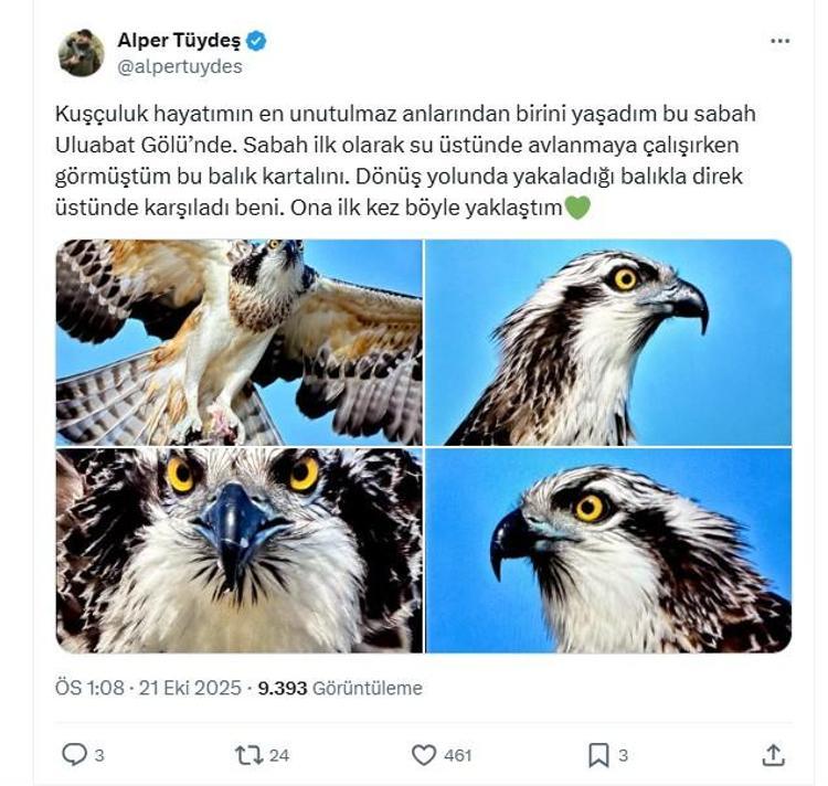 BÜYÜK PENÇELERİ SAYESİNDE AVINI KOLAYLIKLA YAKALIYOR