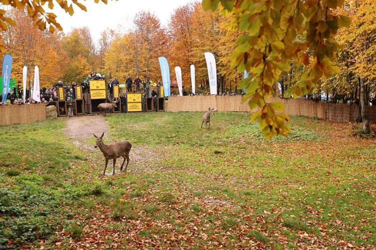 ‘AMACIMIZ KIZILGEYİKLERİN BUNDAN SONRAKİ SÜREÇTE KORUMA YÖNETİM PLANLARININ ORTAYA KONULMASIYDI’