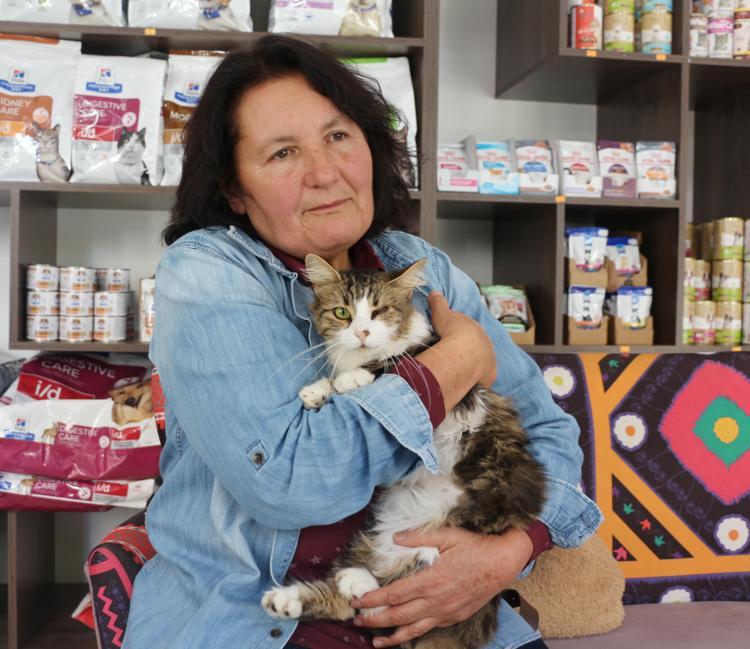 7 YILDIR KEDİ BESLİYORUM, 26 KEDİM VAR