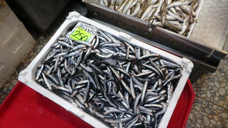 ŞU AN MÜSİLAJI HİÇBİR YERDE GÖZLEMLEMİYORUZ