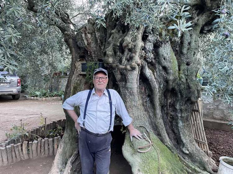 ‘YILDA ORTALAMA 150 KİLO MAHSUL VERİYOR’