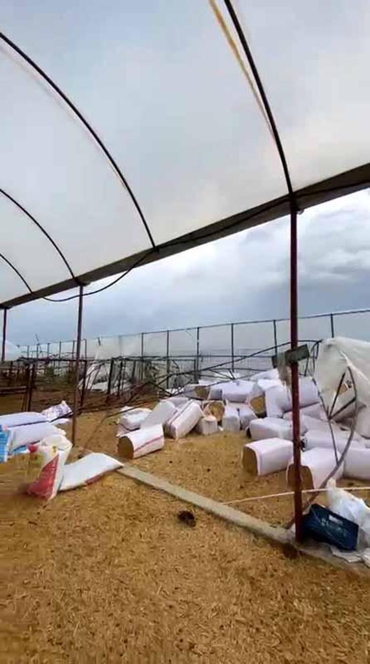 SERİKTE SERALAR HASAR GÖRDÜ