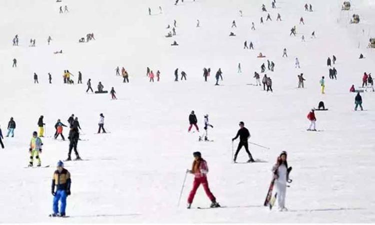 EKONOMİYE KATKISI VAR