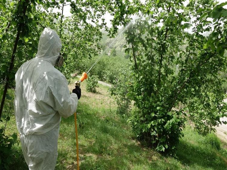 ‘KESİNLİKLE YOK EDEMEYİZ, KONTROL ALTINDA TUTABİLİRİZ’