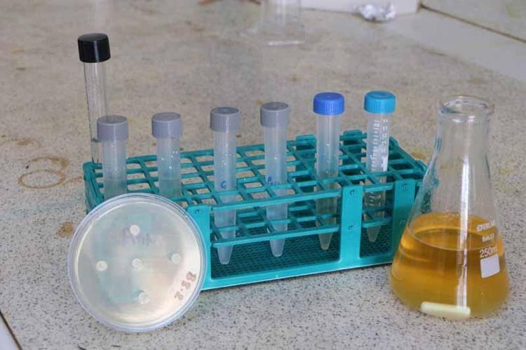 BİBERİYE, KEKİK, ADAÇAYI GİBİ DOĞAL YAĞLAR KULLANILDI