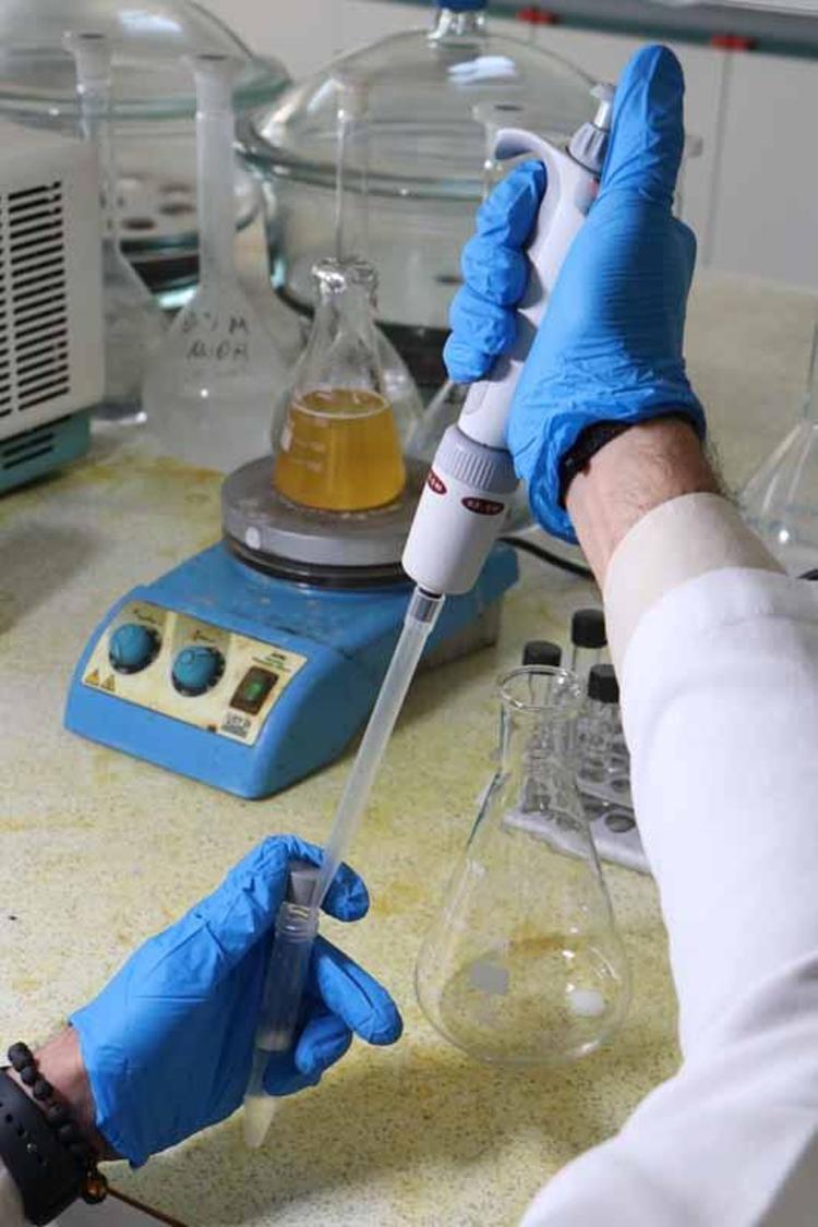 GIDANIN TADI, KOKUSU VE GÖRÜNÜMÜNÜ DEĞİŞTİRMİYOR