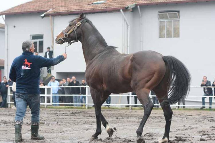 YAVRULARI 25 MİLYON DOLAR KAZANÇ ELDE ETTİ