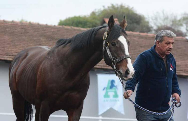 NUR ÜNLÜ YİĞİT: BİZİM İÇİN GURUR VERİCİ