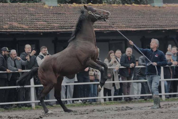 BEDRETTİN AYDOĞDU: ATLARIN AYAKLARI DÜZ BASSIN