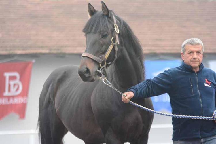ERAY HAZAR: AMACIMIZ YETİŞTİRİCİLERİMİZ İLE CAMİAMIZI BİR ARAYA GETİRMEKTİ