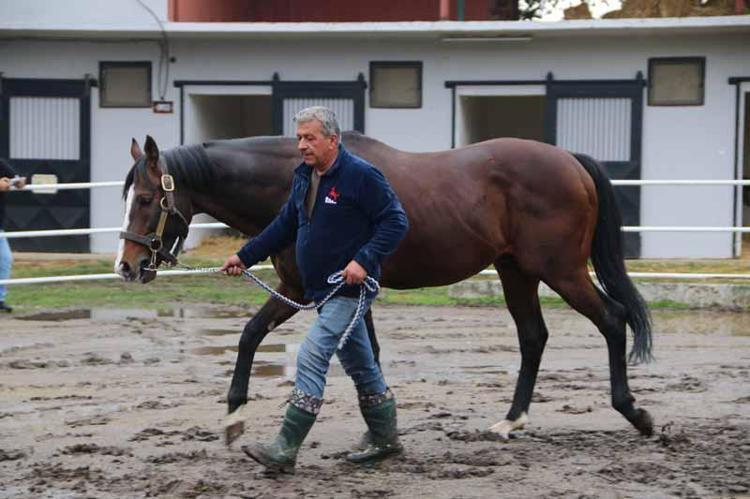 TİMUR ACAR: TÜRKİYE’YE HAYIRLI OLSUN