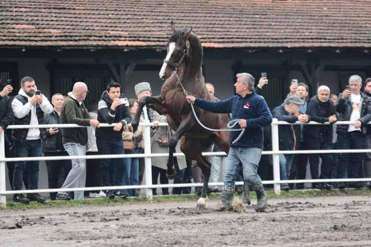 ADEM YILDIZ: GELECEK YILLARDADA DA AYGIR TRANSFERİMİZ OLACAK