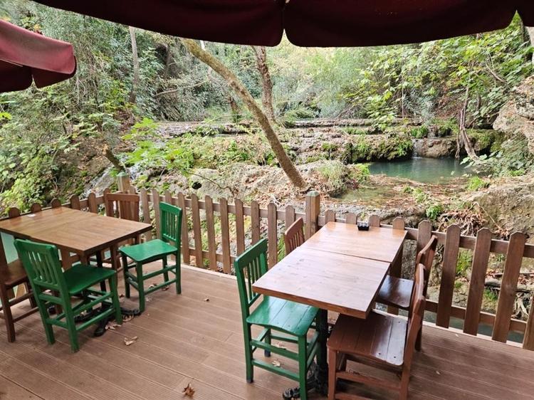 ÜNLÜ BİR SANATÇIYLA GELMİŞ