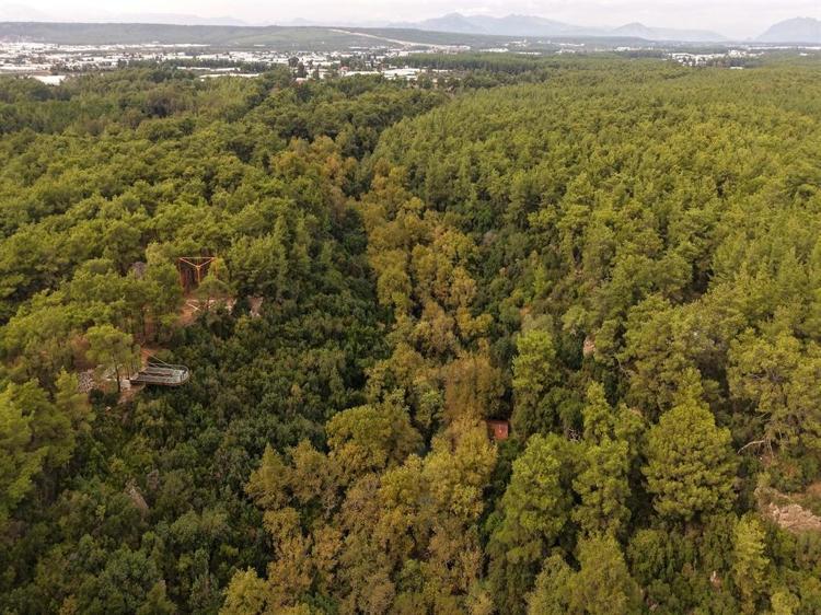 ZENGİN BİTKİ ÖRTÜSÜ