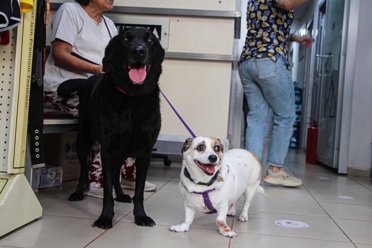 ‘HASTALIK YOKTUR, HASTA VARDIR’