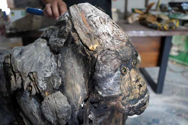 MARANGOZLUKTAN SANATA UZANAN YOLCULUK