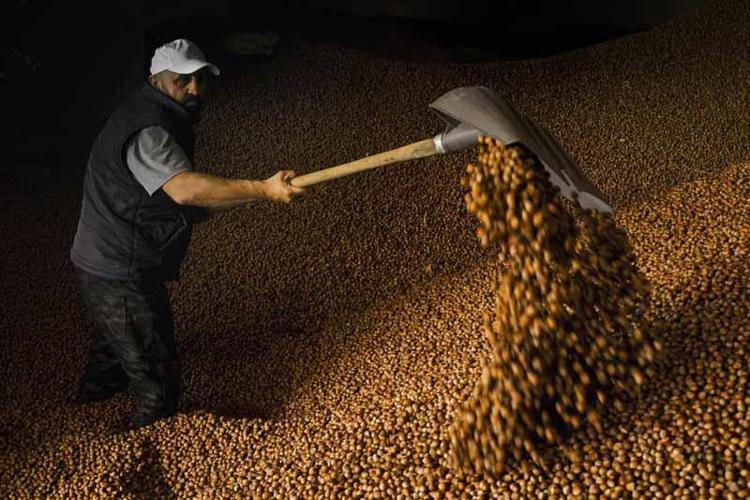 MUTLAK SURETLE TEDBİR ALMAK ZORUNDAYIZ