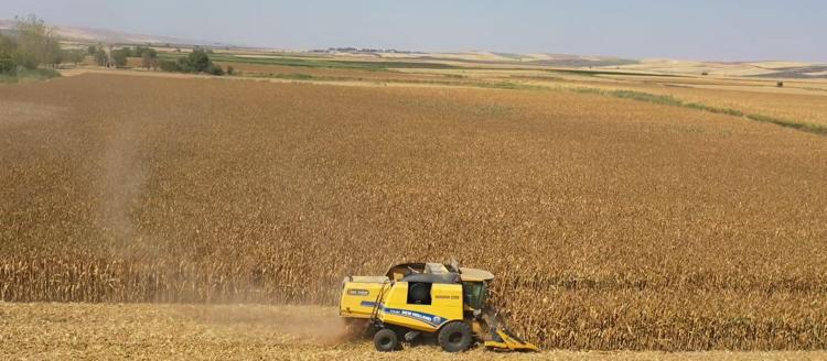 105 BİN CİVARINDA İSTİHDAM SAĞLANDI