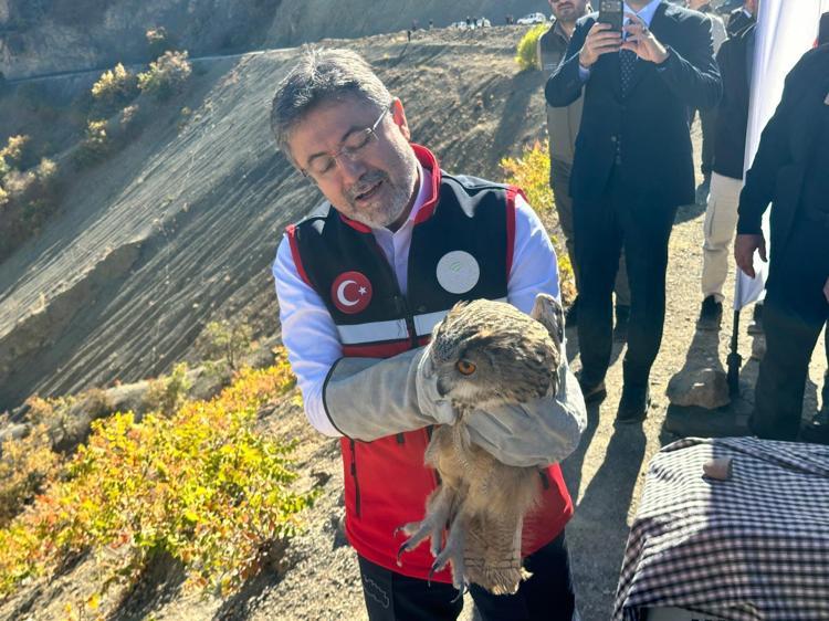 TÜM TÜRKİYEDE ŞU ANA KADAR 688 KORUNAN ALAN İLAN EDİLMİŞ