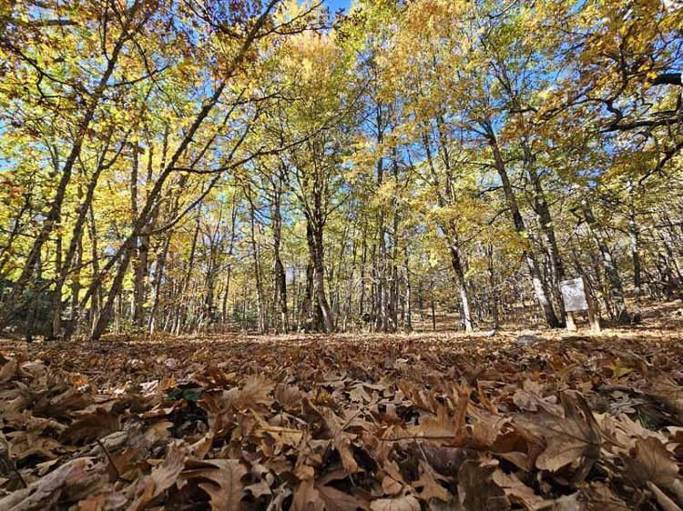 ‘BURASI 12 AY KORUNMAKTA’