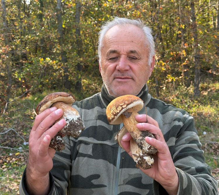 ‘BU SENE MANTARI GRAMLA SATIYORUZ’