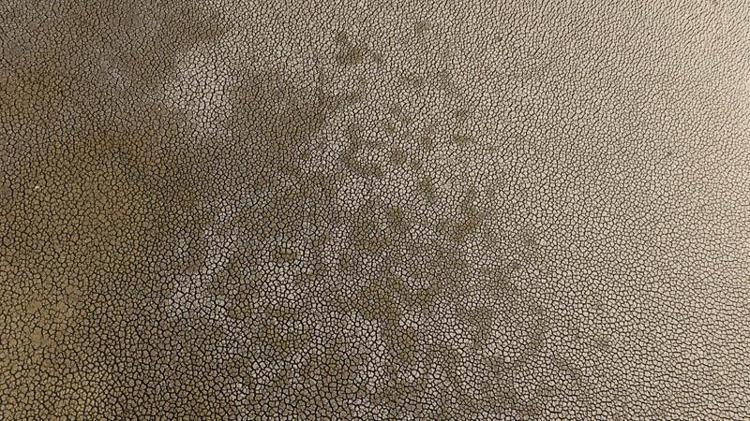 GÖL YÜZEYİ 21 KİLOMETREKAREYE DÜŞTÜ