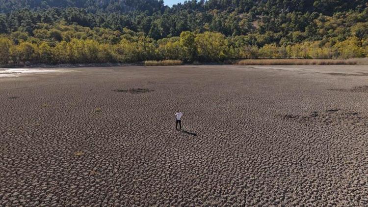 KUŞ TÜRLERİ AZALDI